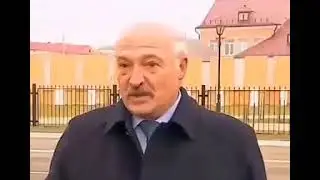 Лукашенко и трактор МТЗ-50