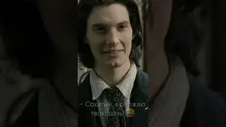 пов: т/и сестра гарри 😂