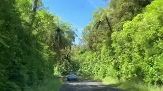 Egmont road, toward the visitor Center of Taranaki mount