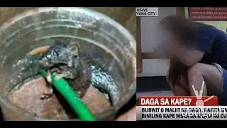 Daga sa Starbucks | PARODY