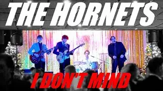 The Hornets - I Don't Mind (New Year's Eve, 2023)