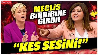 DEM Partili Perihan Koca kürsüyü adeta yumrukladı! Mecliste 'like' tartışması çıktı!