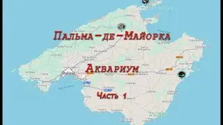 Пальма-де-Майорка. Аквариум. Часть 1