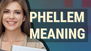 Phellem | meaning of Phellem