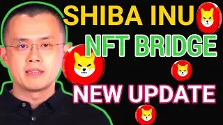 Shiba Inu News | Shiba Inu Blockchain Shibarium Welcomes NFT Bridge Feature