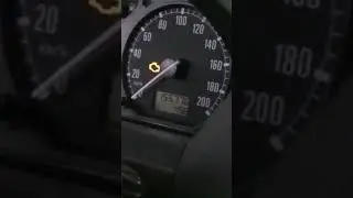 22 июня 2024 г.