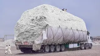 Pakistan’s Cheapest Solution to Transport Tons of Fresh Cotton