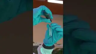 С Днем российской науки 💚