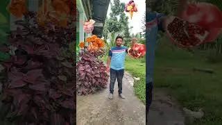 vfx funny magic video|vfx effect|visual effect|blender vfx|vfx green screen effect|