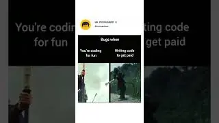 Bugs when you are coding for fun vs when getting paid 