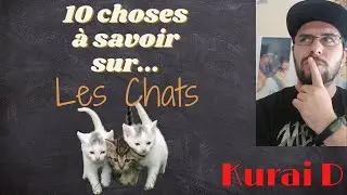 Les 10 choses à savoir sur les chats #10chosesàsavoirsur... N°7 #KuraiD #chat #cat