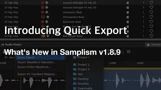 What's New in Samplism v1.8.9