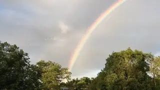 Early morning rainbow and singing birds in SE QLD, Australia