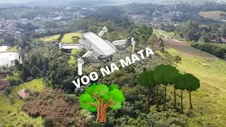 VOO NA MATA MELHOR LUGAR DE VOO #DJIMAVICMINI #DJI