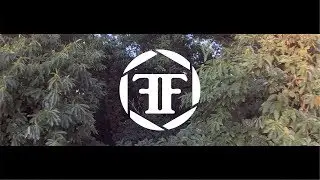 Felixstowe FPV - Forest Flavoured
