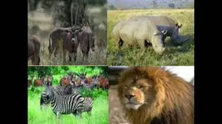 Презентация национальные парки африки презентация