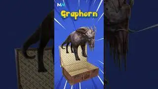 Learn everything about Graphorn's with Newt