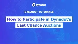 How to Participate in Dynadot's Last Chance Auctions