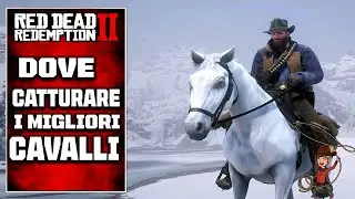 Red Dead Redemption 2 || Where to catch the best Guide horses