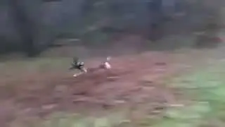 Сногсшибательный собакен