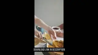 A Person Getting Slice of Pumpkin Pie into the Plate | Free Stock Video Footage HD 4K