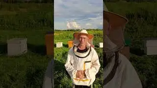Медовым Спасом 🐝 подпишись лайк