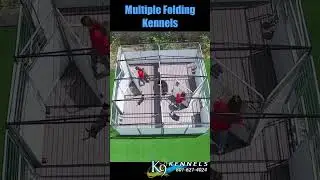 Multiple Pro Dog Kennel Systems by K9 Kennel Store #shorts