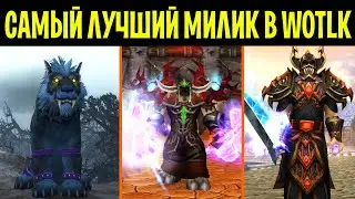 Рейтинг МИЛИ-ДПС СПЕКОВ в WotLK Classic!
