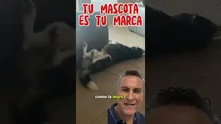 Estrategias Fiscales
