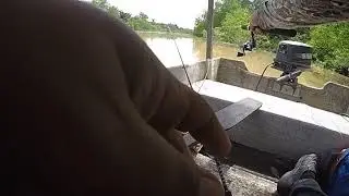 Udang Galah Tanjung Siam