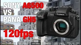 REVIEW Panasonic GH5 vs Sony A6500 slow mo 120fps vs 180fps vs 500fps (optical flow)