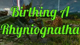 Ark ASA Ep 12 | The Rhyniognatha With Halexos!