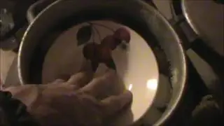 Яблочное вино