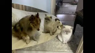 Просто красавцы.