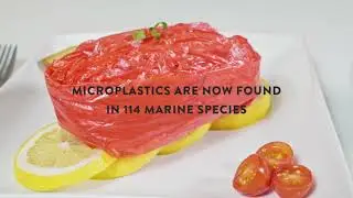 Ever thought about the microplastics in your meal? It's time to #rethink. | Evoware Rethink Campaign