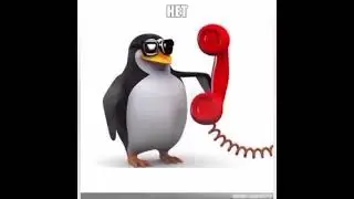 Мем с пингвином 
