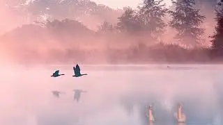 Даль великая
