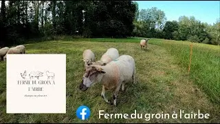 La ferme du Groin à l'airbe #agriculture