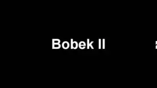 Bobek II huta 99