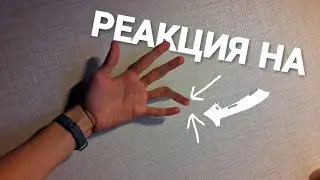 РЕАКЦИЯ БРАТА НА МОЙ 
