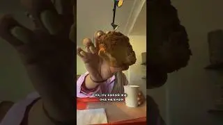 Самая божественная дешёвая булочка #петербург #еда #пекарня