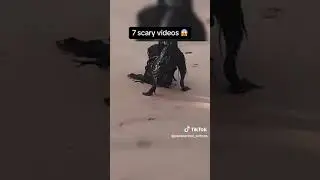 scared as hell