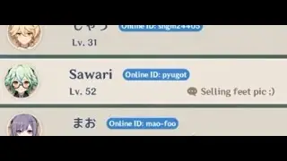 So I saw this guy in PS4 Genshin Impact Co-Op....