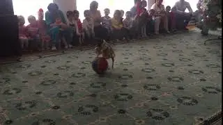 IMG 0841
