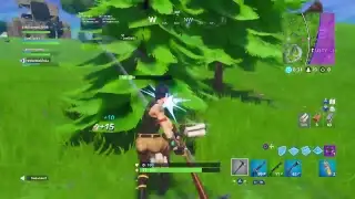 Gameplay with xd MrPinaplz and xd pigeon