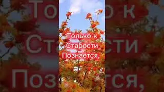 ЖИЗНЬ ПОХОЖА НА ПОЗДНЮЮ ОСЕНЬ🍁🍂🍃🍁🍂