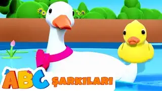 Beş Küçük Ördek | Çocuk Şarkıları ve Kafiyeleri | ABC Turkish
