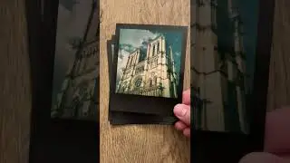 Polaroid Film Printed with Polaroid Lab