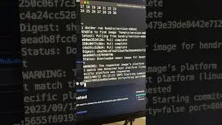Go build embeds Git version by default!