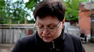 Экскурсия по приюту собак 